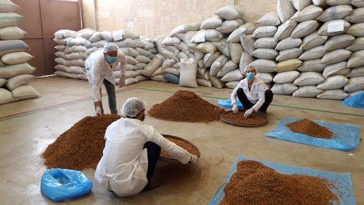 Export operation 4