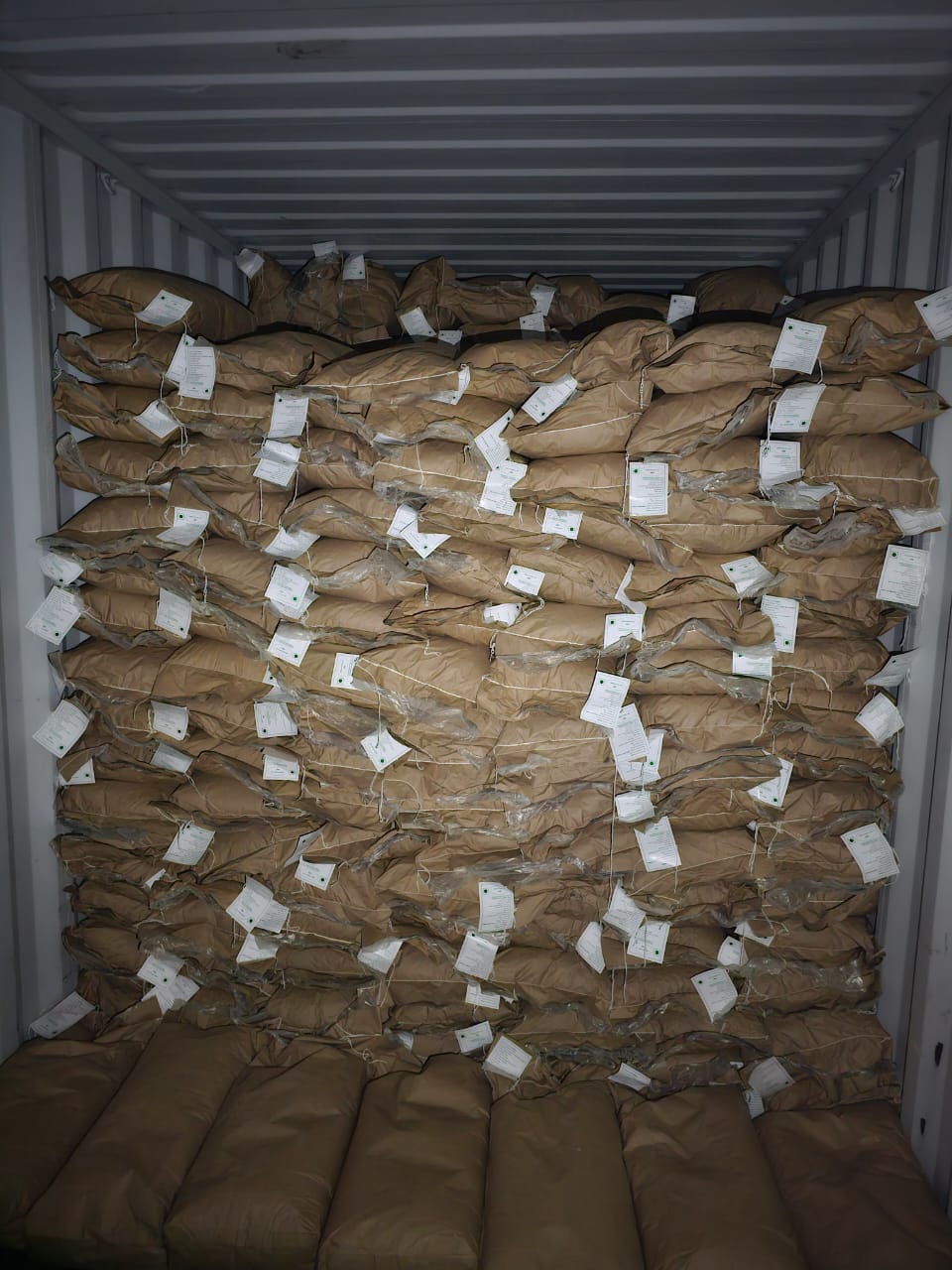 Export operation 7