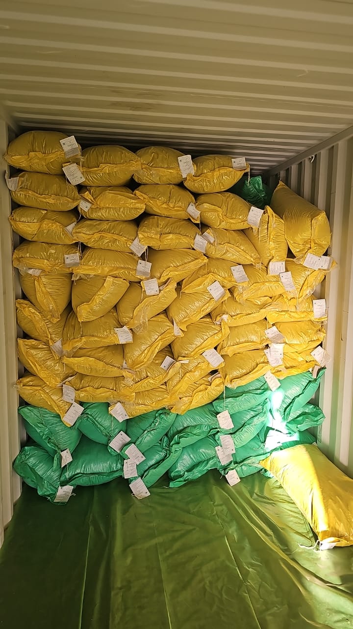 Export operation 9